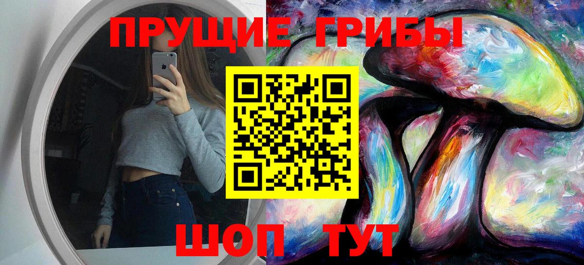 Псилоцибиновые грибы ЛСД Дивногорск